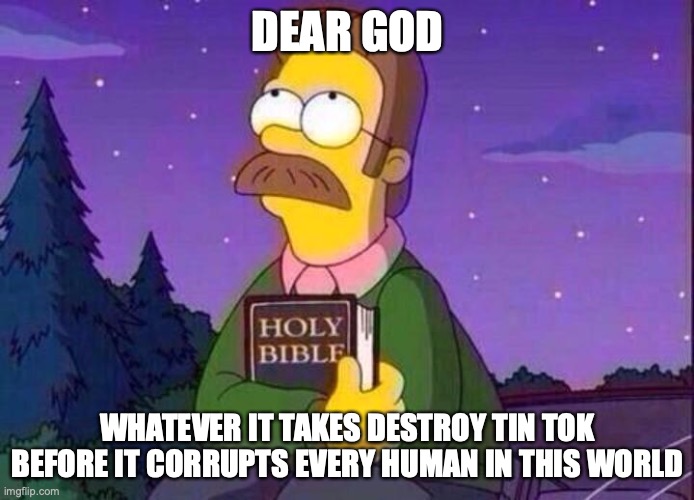 Ned Flanders and Bible | DEAR GOD; WHATEVER IT TAKES DESTROY TIN TOK BEFORE IT CORRUPTS EVERY HUMAN IN THIS WORLD | image tagged in ned flanders and bible | made w/ Imgflip meme maker