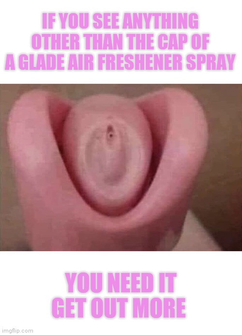 IF YOU SEE ANYTHING OTHER THAN THE CAP OF A GLADE AIR FRESHENER SPRAY; YOU NEED IT GET OUT MORE | image tagged in glade,i've been spending too much time with boma | made w/ Imgflip meme maker