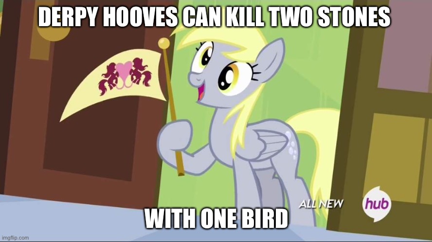 Derpy Hooves facts | DERPY HOOVES CAN KILL TWO STONES; WITH ONE BIRD | image tagged in derpy hooves facts | made w/ Imgflip meme maker