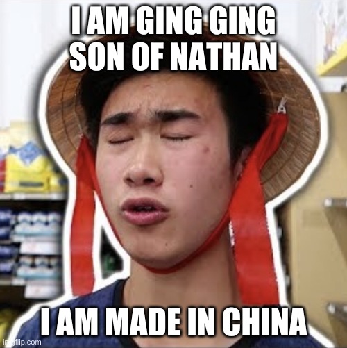 Ging Ging | I AM GING GING SON OF NATHAN; I AM MADE IN CHINA | image tagged in ging ging | made w/ Imgflip meme maker
