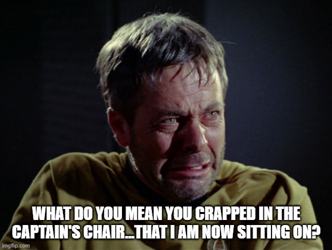 Guess That's Where the Bathroom Is on the Enterprise | WHAT DO YOU MEAN YOU CRAPPED IN THE CAPTAIN'S CHAIR...THAT I AM NOW SITTING ON? | image tagged in star trek triggered | made w/ Imgflip meme maker