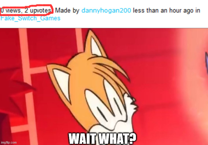 WAIT WHAT? | image tagged in tails wait what | made w/ Imgflip meme maker