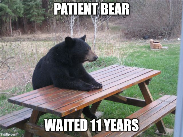 Patient Bear | PATIENT BEAR; WAITED 11 YEARS | image tagged in patient bear | made w/ Imgflip meme maker
