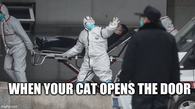 Corona Virus | WHEN YOUR CAT OPENS THE DOOR | image tagged in corona virus | made w/ Imgflip meme maker