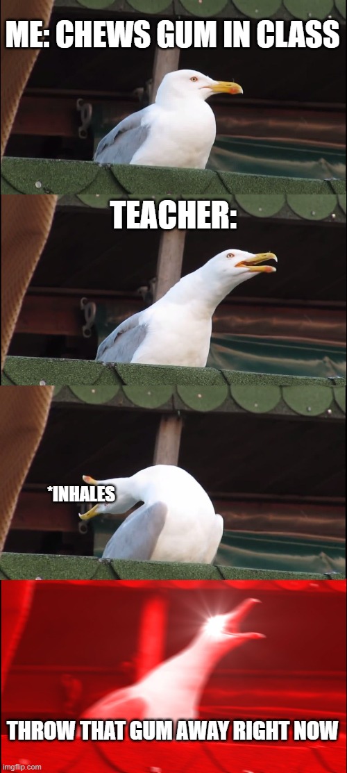 Inhaling Seagull | ME: CHEWS GUM IN CLASS; TEACHER:; *INHALES; THROW THAT GUM AWAY RIGHT NOW | image tagged in memes,inhaling seagull | made w/ Imgflip meme maker