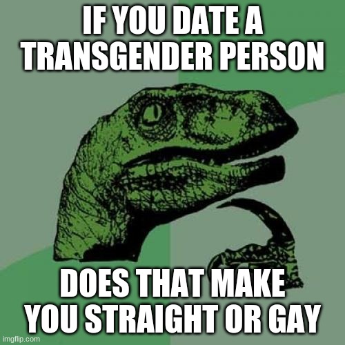 Philosoraptor Meme | IF YOU DATE A TRANSGENDER PERSON; DOES THAT MAKE YOU STRAIGHT OR GAY | image tagged in memes,philosoraptor | made w/ Imgflip meme maker