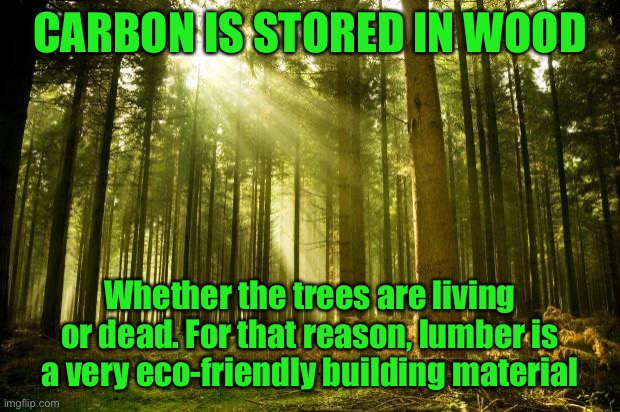 Wood is the wave of the future when it comes to eco-friendly building materials | CARBON IS STORED IN WOOD; Whether the trees are living or dead. For that reason, lumber is a very eco-friendly building material | image tagged in sunlit forest,wood,climate change,environment,environmental,building | made w/ Imgflip meme maker