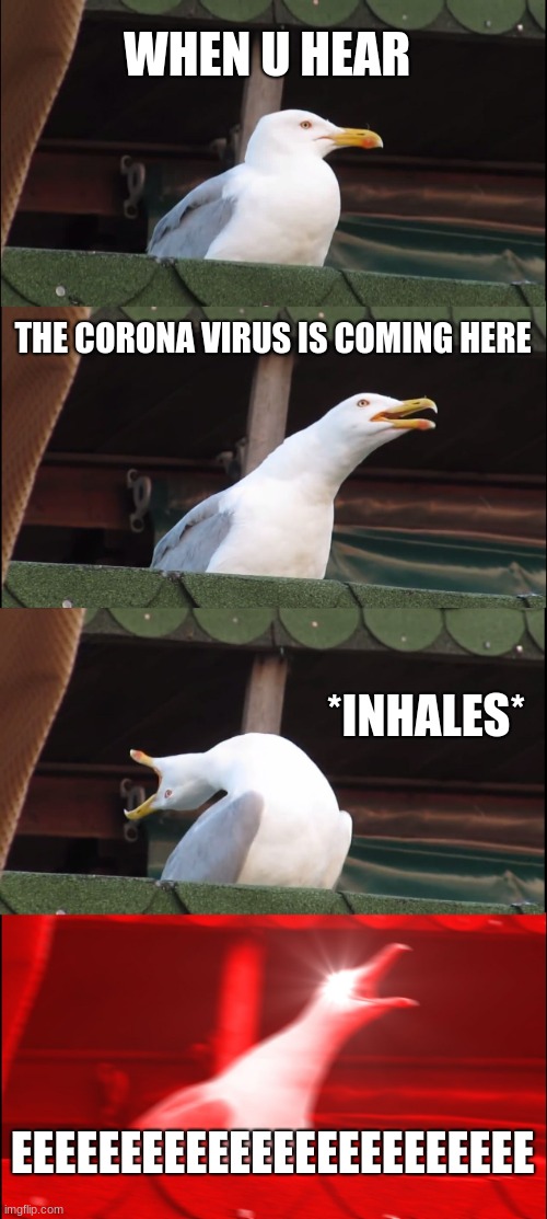 ITS CORONA TIME | WHEN U HEAR; THE CORONA VIRUS IS COMING HERE; *INHALES*; EEEEEEEEEEEEEEEEEEEEEEEE | image tagged in memes,inhaling seagull | made w/ Imgflip meme maker