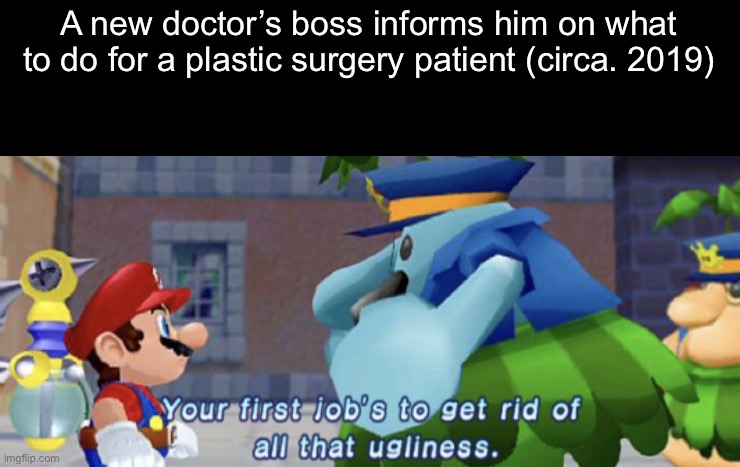 Your first job is to get rid of all that one ugliness | A new doctor’s boss informs him on what to do for a plastic surgery patient (circa. 2019) | image tagged in your first job is to get rid of all that one ugliness | made w/ Imgflip meme maker