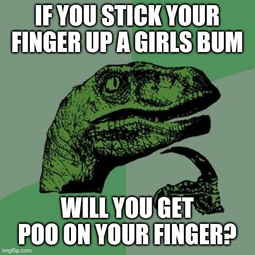 Girls poo too | IF YOU STICK YOUR FINGER UP A GIRLS BUM; WILL YOU GET POO ON YOUR FINGER? | image tagged in memes,philosoraptor | made w/ Imgflip meme maker