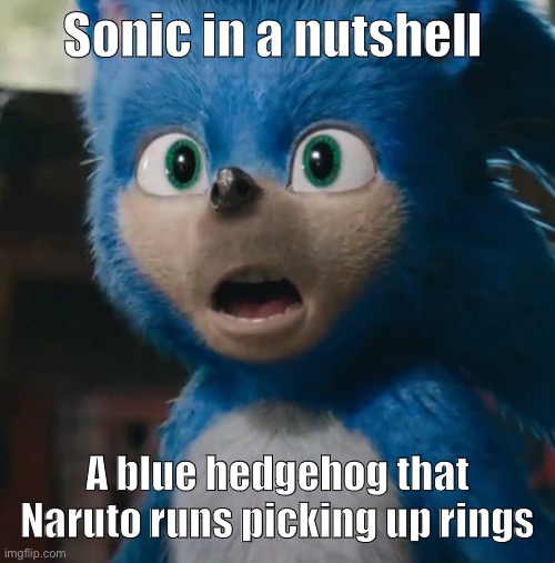 Sonic Movie | Sonic in a nutshell; A blue hedgehog that Naruto runs picking up rings | image tagged in sonic movie | made w/ Imgflip meme maker