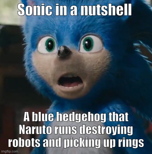 Sonic Movie | Sonic in a nutshell; A blue hedgehog that Naruto runs destroying robots and picking up rings | image tagged in sonic movie | made w/ Imgflip meme maker