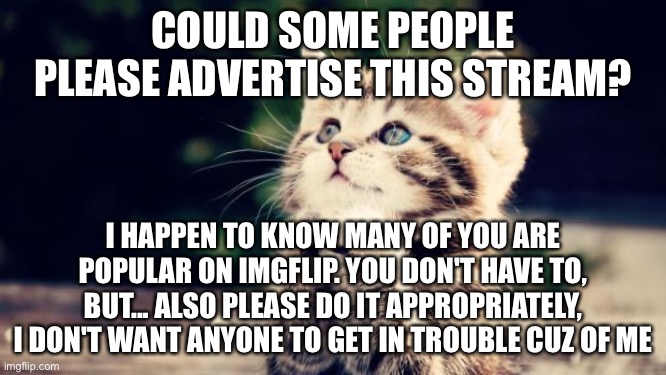 Please? | COULD SOME PEOPLE PLEASE ADVERTISE THIS STREAM? I HAPPEN TO KNOW MANY OF YOU ARE POPULAR ON IMGFLIP. YOU DON'T HAVE TO, BUT... ALSO PLEASE DO IT APPROPRIATELY, I DON'T WANT ANYONE TO GET IN TROUBLE CUZ OF ME | image tagged in cute kitten | made w/ Imgflip meme maker