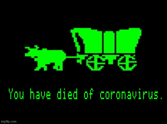 You have died of cornavirus. | image tagged in memes,coronavirus | made w/ Imgflip meme maker