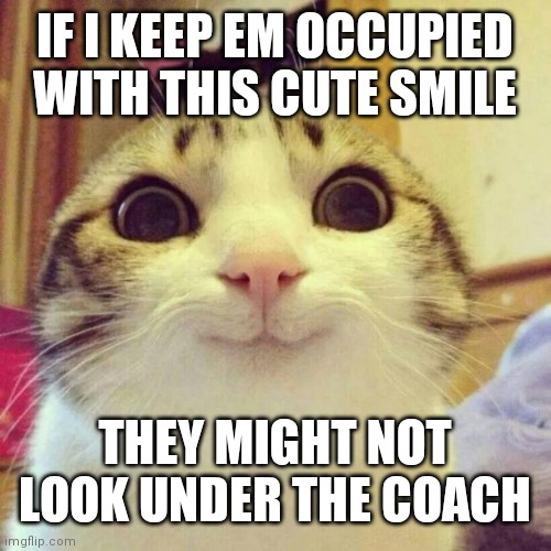 Smiling Cat Meme | IF I KEEP EM OCCUPIED WITH THIS CUTE SMILE; THEY MIGHT NOT LOOK UNDER THE COACH | image tagged in memes,smiling cat | made w/ Imgflip meme maker