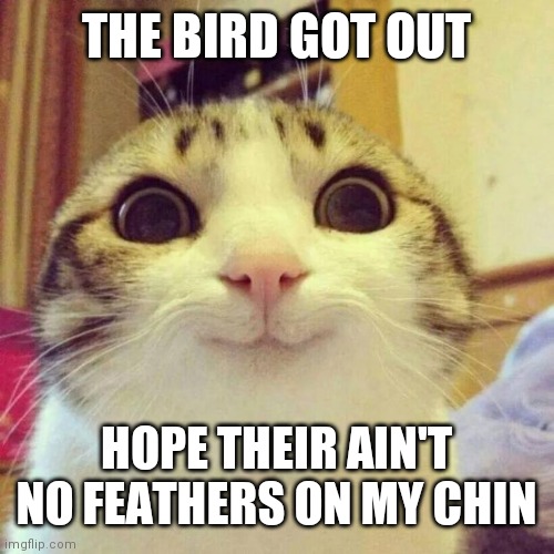 Smiling Cat | THE BIRD GOT OUT; HOPE THEIR AIN'T NO FEATHERS ON MY CHIN | image tagged in memes,smiling cat | made w/ Imgflip meme maker