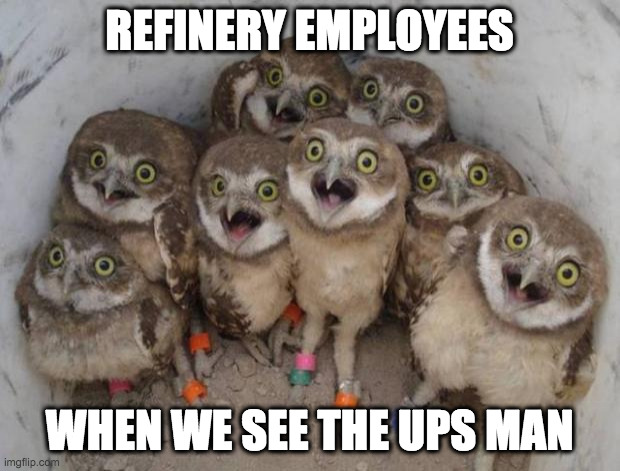 Excited Owls | REFINERY EMPLOYEES; WHEN WE SEE THE UPS MAN | image tagged in excited owls | made w/ Imgflip meme maker