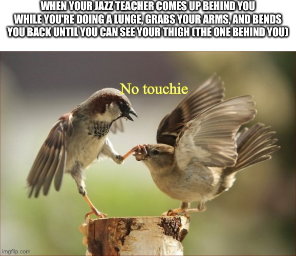 please be quiet | WHEN YOUR JAZZ TEACHER COMES UP BEHIND YOU WHILE YOU'RE DOING A LUNGE, GRABS YOUR ARMS, AND BENDS YOU BACK UNTIL YOU CAN SEE YOUR THIGH (THE ONE BEHIND YOU); No touchie | image tagged in please be quiet | made w/ Imgflip meme maker