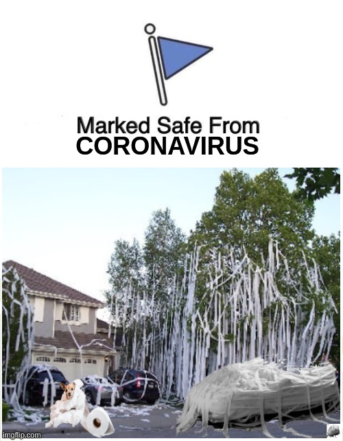 Marked Safe From Coronavirus. The Toilet Paper Cure. | image tagged in coronavirus,marked safe from,marked safe,toilet paper,hilarious,funny memes | made w/ Imgflip meme maker