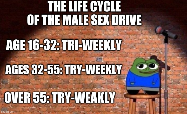 Just try | THE LIFE CYCLE OF THE MALE SEX DRIVE; AGE 16-32: TRI-WEEKLY; AGES 32-55: TRY-WEEKLY; OVER 55: TRY-WEAKLY | image tagged in joke,meme,sex drive | made w/ Imgflip meme maker