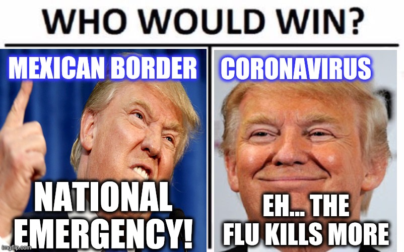 MEXICAN BORDER CORONAVIRUS NATIONAL EMERGENCY! EH... THE FLU KILLS MORE | made w/ Imgflip meme maker