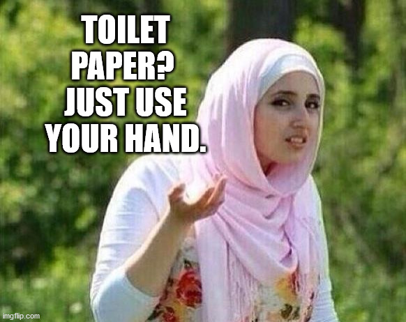 confused arab lady |  TOILET PAPER?  JUST USE YOUR HAND. | image tagged in confused arab lady | made w/ Imgflip meme maker
