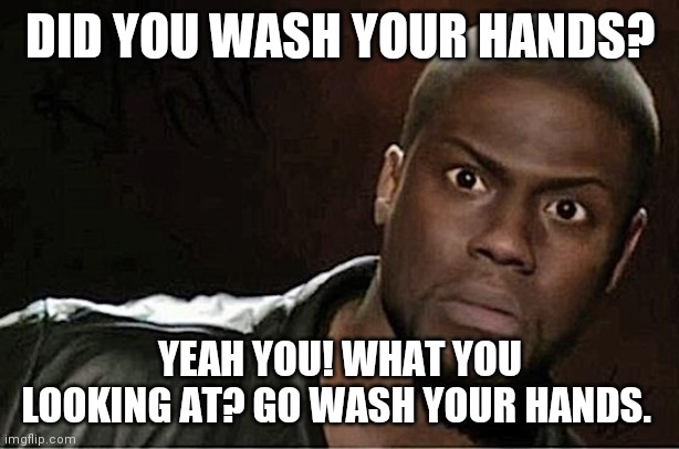 Kevin Hart Meme | DID YOU WASH YOUR HANDS? YEAH YOU! WHAT YOU LOOKING AT? GO WASH YOUR HANDS. | image tagged in memes,kevin hart | made w/ Imgflip meme maker