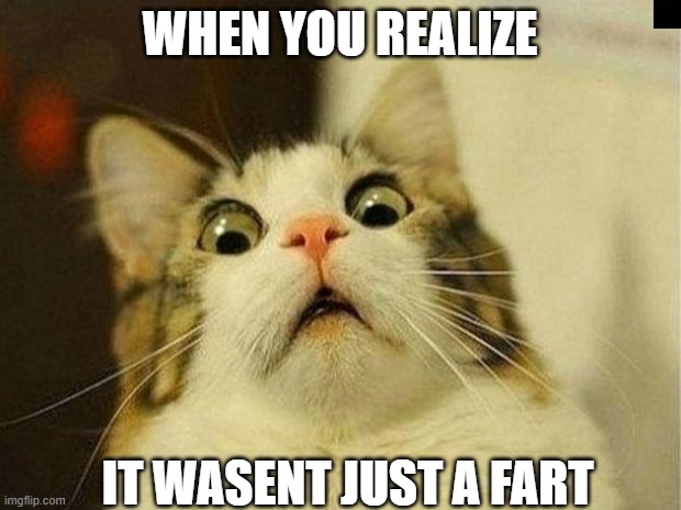 Scared Cat | WHEN YOU REALIZE; IT WASENT JUST A FART | image tagged in memes,scared cat | made w/ Imgflip meme maker