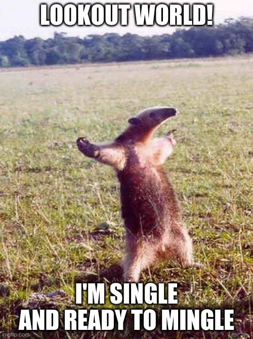 Fight me anteater | LOOKOUT WORLD! I'M SINGLE AND READY TO MINGLE | image tagged in fight me anteater | made w/ Imgflip meme maker
