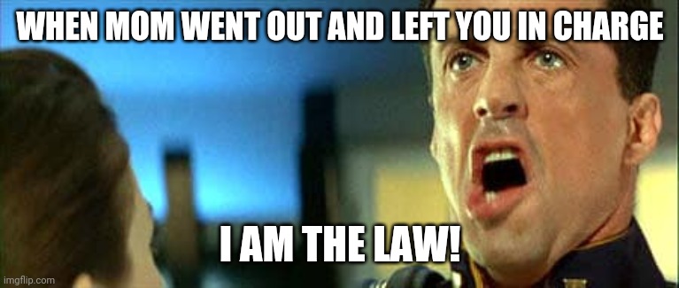 I am the law! | WHEN MOM WENT OUT AND LEFT YOU IN CHARGE; I AM THE LAW! | image tagged in i am the law | made w/ Imgflip meme maker