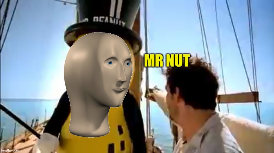 Mr peanut | MR NUT | image tagged in mr peanut | made w/ Imgflip meme maker