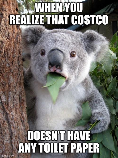 Surprised Koala Meme | WHEN YOU REALIZE THAT COSTCO; DOESN’T HAVE ANY TOILET PAPER | image tagged in memes,surprised koala | made w/ Imgflip meme maker