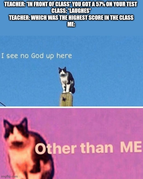 Hail pole cat | TEACHER: *IN FRONT OF CLASS* YOU GOT A 57% ON YOUR TEST 
CLASS: *LAUGHES*
TEACHER: WHICH WAS THE HIGHEST SCORE IN THE CLASS
ME: | image tagged in hail pole cat | made w/ Imgflip meme maker