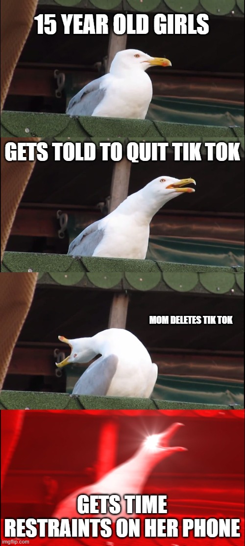Inhaling Seagull Meme | 15 YEAR OLD GIRLS; GETS TOLD TO QUIT TIK TOK; MOM DELETES TIK TOK; GETS TIME RESTRAINTS ON HER PHONE | image tagged in memes,inhaling seagull | made w/ Imgflip meme maker