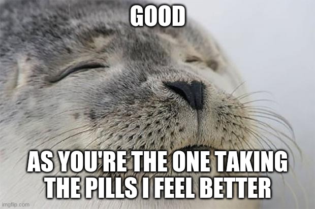 Satisfied Seal Meme | GOOD AS YOU'RE THE ONE TAKING THE PILLS I FEEL BETTER | image tagged in memes,satisfied seal | made w/ Imgflip meme maker