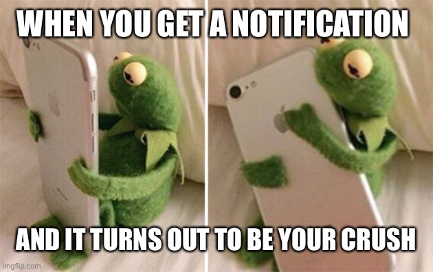 Kermit Hugging Phone | WHEN YOU GET A NOTIFICATION; AND IT TURNS OUT TO BE YOUR CRUSH | image tagged in kermit hugging phone | made w/ Imgflip meme maker