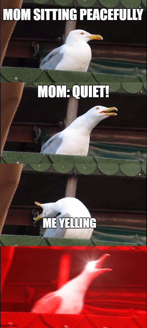 Inhaling Seagull | MOM SITTING PEACEFULLY; MOM: QUIET! ME YELLING | image tagged in memes,inhaling seagull | made w/ Imgflip meme maker