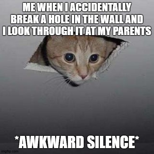 Ceiling Cat | ME WHEN I ACCIDENTALLY BREAK A HOLE IN THE WALL AND I LOOK THROUGH IT AT MY PARENTS; *AWKWARD SILENCE* | image tagged in memes,ceiling cat | made w/ Imgflip meme maker