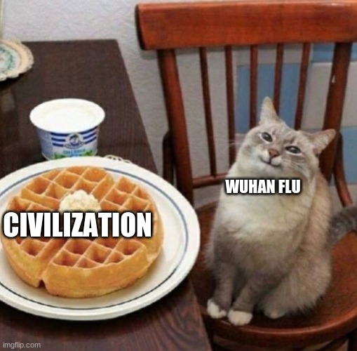 Cat likes their waffle | WUHAN FLU; CIVILIZATION | image tagged in cat likes their waffle,wuhan flu,coronavirus | made w/ Imgflip meme maker