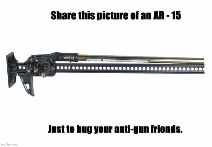 AR-15 | image tagged in ar-15,gun control,2a,freak out | made w/ Imgflip meme maker