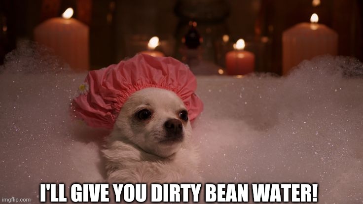 Chihuahua Bubble Bath | I'LL GIVE YOU DIRTY BEAN WATER! | image tagged in chihuahua bubble bath | made w/ Imgflip meme maker