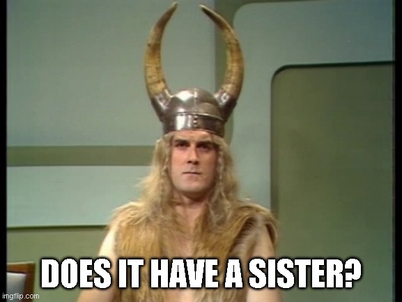Viking | DOES IT HAVE A SISTER? | image tagged in viking | made w/ Imgflip meme maker