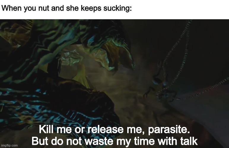 When you nut and she keeps sucking:; Kill me or release me, parasite. But do not waste my time with talk | image tagged in memes | made w/ Imgflip meme maker