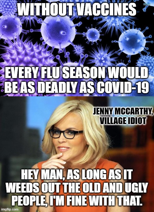 Anti-vaxxers are terrible people | WITHOUT VACCINES; EVERY FLU SEASON WOULD BE AS DEADLY AS COVID-19; JENNY MCCARTHY, VILLAGE IDIOT; HEY MAN, AS LONG AS IT WEEDS OUT THE OLD AND UGLY PEOPLE, I'M FINE WITH THAT. | image tagged in virus,jenny mccarthy antivax,covid-19,anti-vaxx,idiot | made w/ Imgflip meme maker