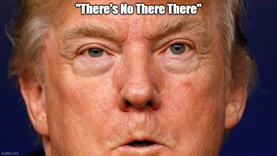 "Trump: Is Anyone Home?" | "There's No There There" | image tagged in there is no there there,trump is vapid,trump is fatuous,trump is hollow,trump is empty | made w/ Imgflip meme maker