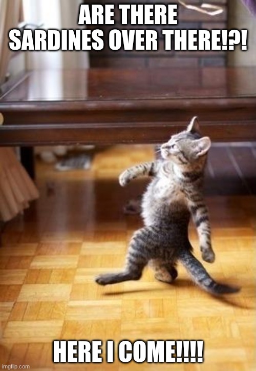 Cool Cat Stroll | ARE THERE SARDINES OVER THERE!?! HERE I COME!!!! | image tagged in memes,cool cat stroll | made w/ Imgflip meme maker