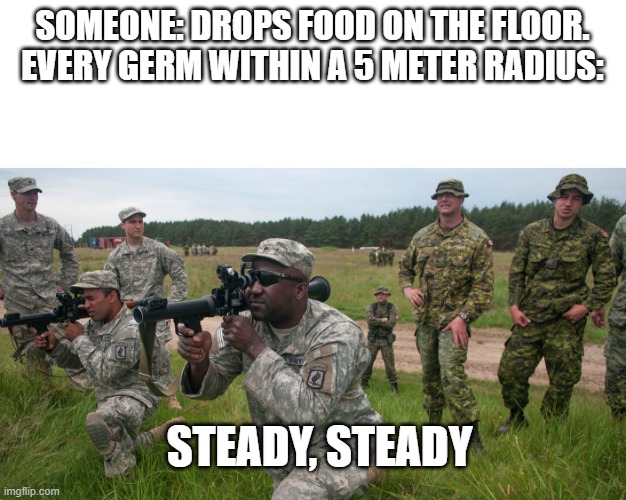 5 second rule | SOMEONE: DROPS FOOD ON THE FLOOR.

EVERY GERM WITHIN A 5 METER RADIUS:; STEADY, STEADY | image tagged in 5 second rule,meme | made w/ Imgflip meme maker