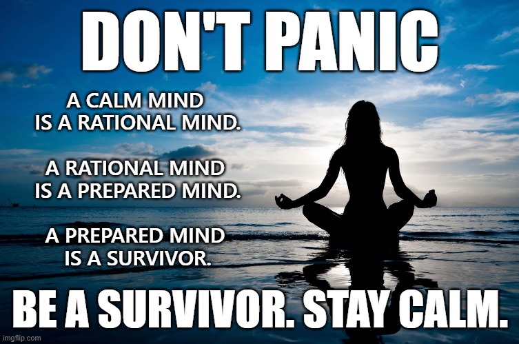We Interrupt Today's News Feed For This Important Announcement... | DON'T PANIC; A CALM MIND 
IS A RATIONAL MIND.
 
A RATIONAL MIND 
IS A PREPARED MIND.
 
A PREPARED MIND 
IS A SURVIVOR. BE A SURVIVOR. STAY CALM. | image tagged in keep calm,don't panic,be prepared,survive | made w/ Imgflip meme maker