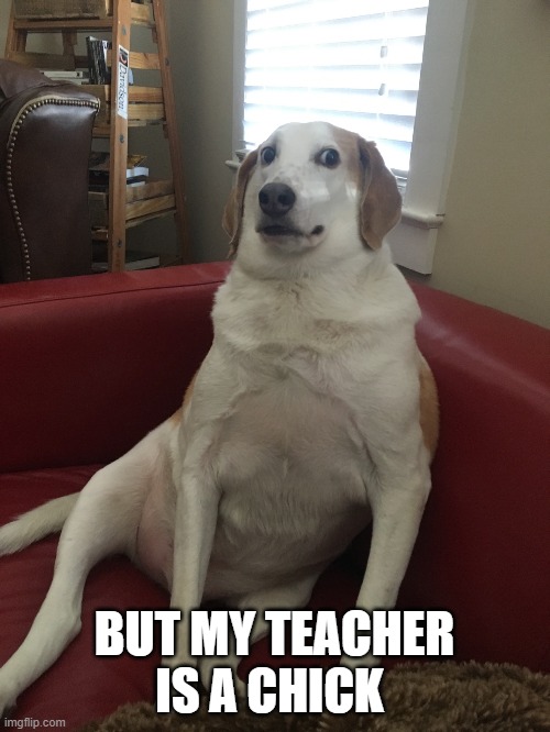UNcomfortable Dog 2 | BUT MY TEACHER IS A CHICK | image tagged in uncomfortable dog 2 | made w/ Imgflip meme maker
