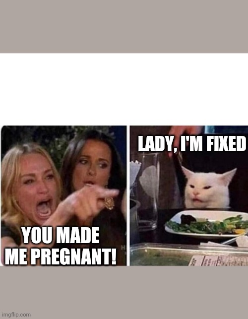 Lady screams at cat | LADY, I'M FIXED; YOU MADE ME PREGNANT! | image tagged in lady screams at cat | made w/ Imgflip meme maker